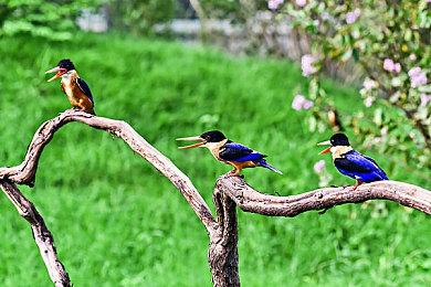 《边缘世界》更新DLC奥德赛上线 Steam在线超过6.8万